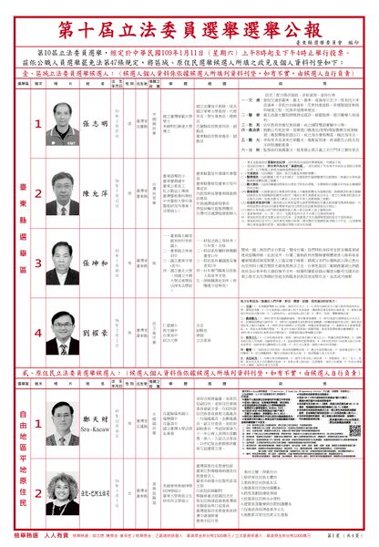 檔案:2020年立法委員選舉臺東縣選舉區.jpg