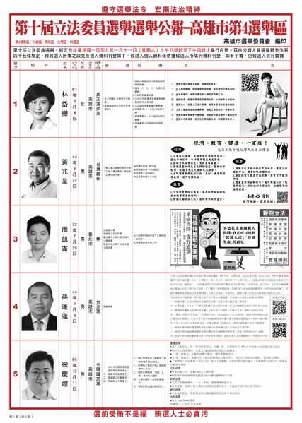 檔案:2020年立法委員選舉高雄市第4選舉區.jpg
